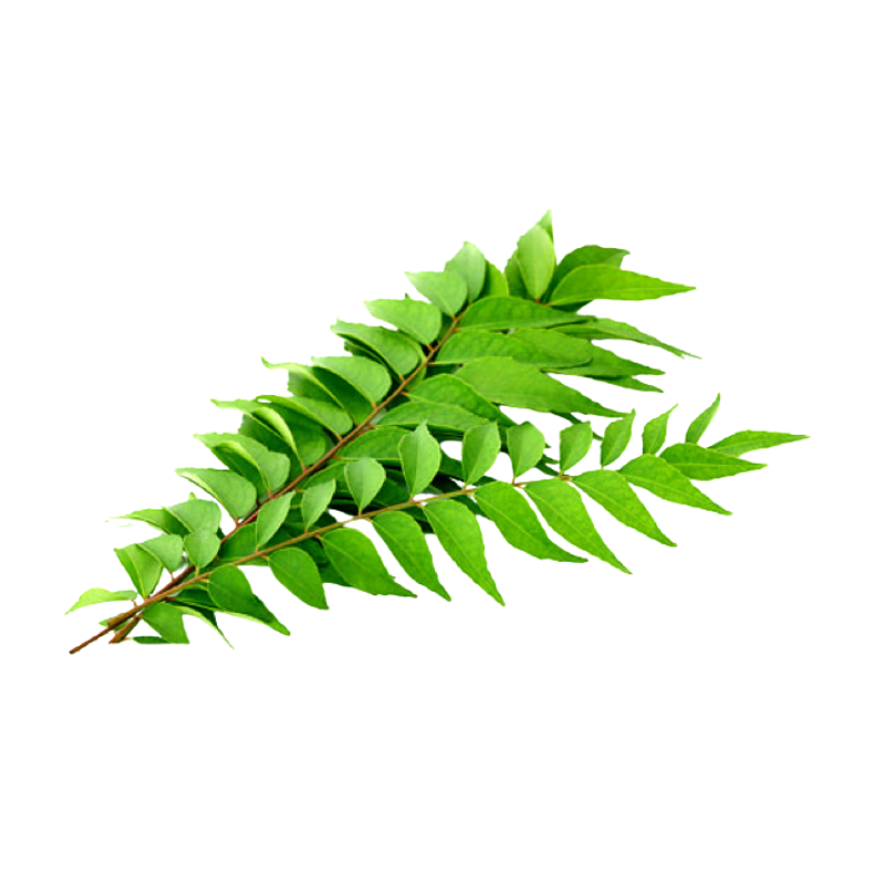 Fresh Curry Leaves - Aromatic & Flavorful