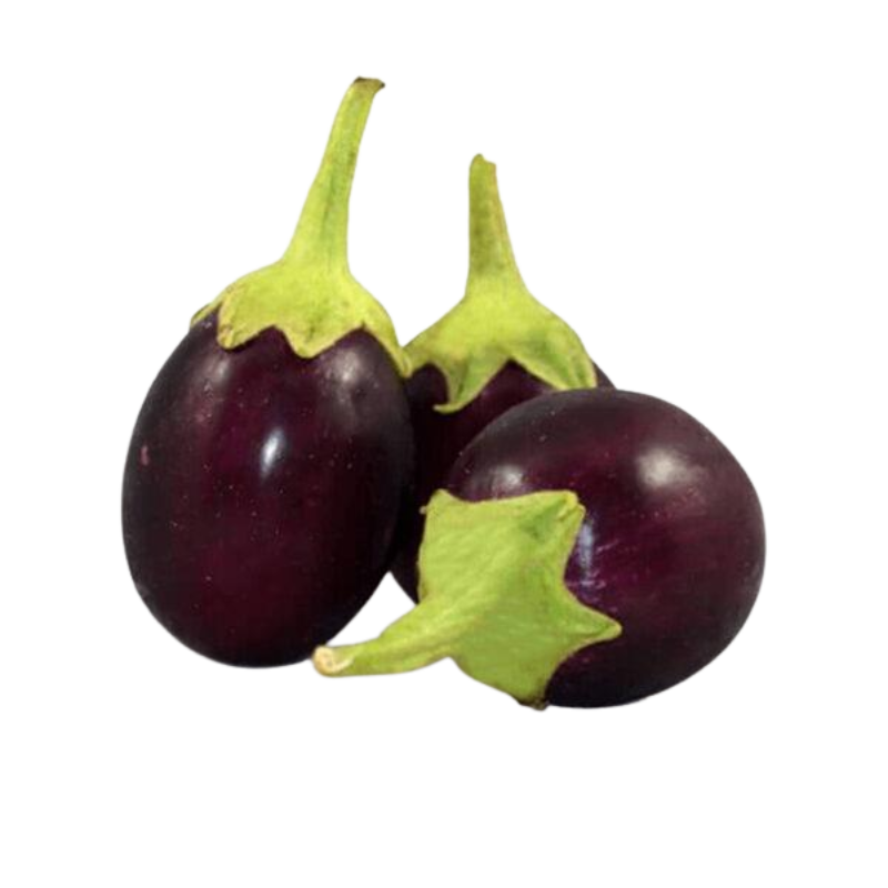 Fresh Indian Eggplant Small & Oval 1 lb – Authentic, Versatile for Curry & More