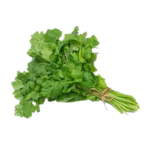 Fresh Cilantro Bunch 1 ct – Aromatic Herb for Cooking & Garnishing