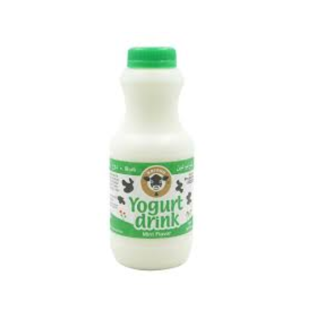 Yogurt Drink 16 floz