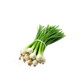 Fresh Green Onion 1 Bunch – Crisp & Flavorful