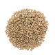 Santosh Masoor Brown Small 2lb