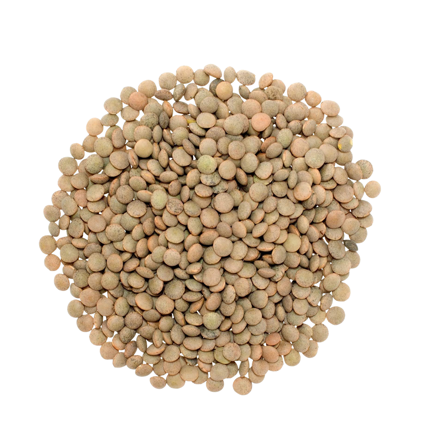 Santosh Masoor Brown Small 4lb